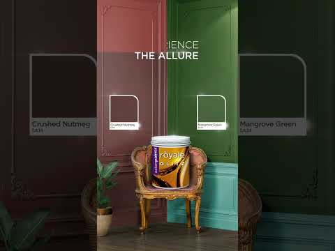 Asian Paints Royal Glitz Interior Wall Paint