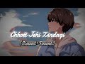 Chhoti Jehi Zindagi Lofi Song Chhoti Jehi Jindagi Slowed Reverb Song Chhoti Jehi Jindagi Lyric Song