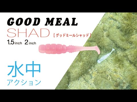 Jackall Good Meal Shad Tail 5cm Red Gold Flake