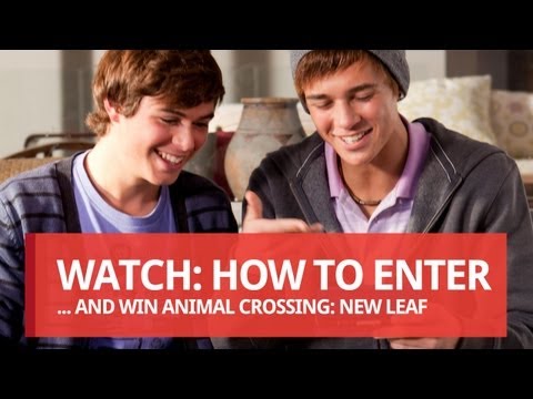 Animal Crossing: New Leaf (3DS) Competition