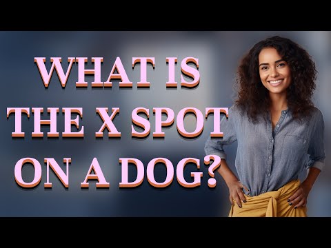 What is the X spot on a dog?