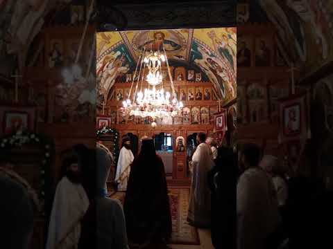 Binecuvântări arhierești-PS Timotei Sătmăreanul la hramul Tuturor Sfintilor - Manastirea Teghea