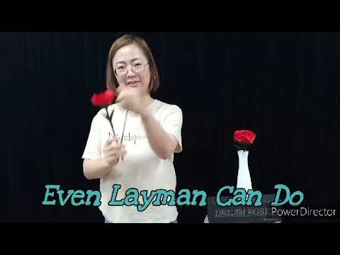 Dream Rose by Yu Meng jim and JL Magic