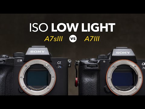 Sony A7s III vs A7 III ISO Low Light Test
