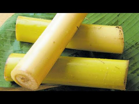 केले के तने की भी ऐसी सब्जी बन सकती है, आपने सोचा नहीं होगा | Banana Stem Recipe | Banana Stem Curry