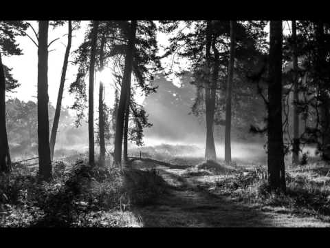 Ólafur Arnalds - A Stutter (feat  Arnor Dan)
