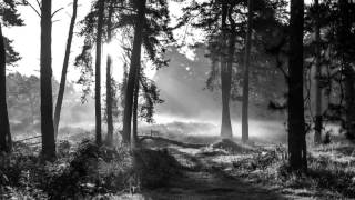 Ólafur Arnalds - A Stutter (feat  Arnor Dan)