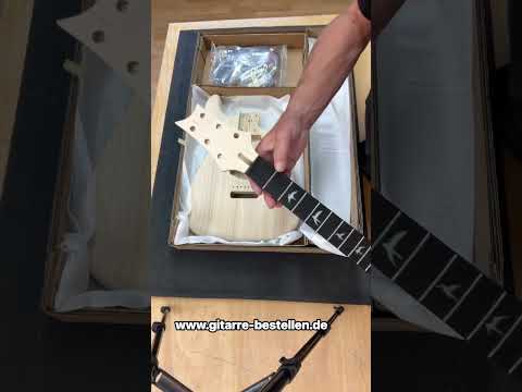 E-Gitarre BausatzGuitar Kit MLS Sky Bird Ash ohne Pickguard