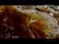 Iklan McDonald S Lebih Hemat Lebih Kenyang