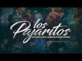 Los Pajaritos (Huapango) - Los Elegantes de Jerez x Conjunto Invensible x La Kumbre con K