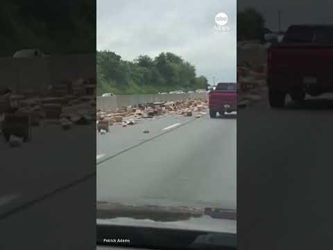 Hot dog spill shuts down highway in commuters' wurst nightmare