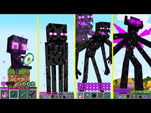 Minecraft Evolution of ENDERMAN Life Cycle Battle How to Play
