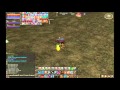 Lineage 2 Mafia PvP On Main Spot With Clan 
