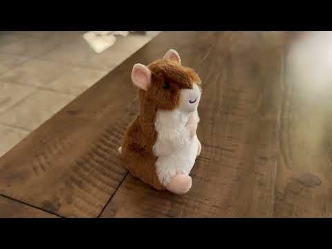 Hamster Plush