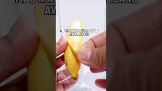 Download lagu Tips makan buah pisang untuk bayi#mpasi#buahpisang #mpasisehat #mpasisimple #resep #mpasihomemade mp3