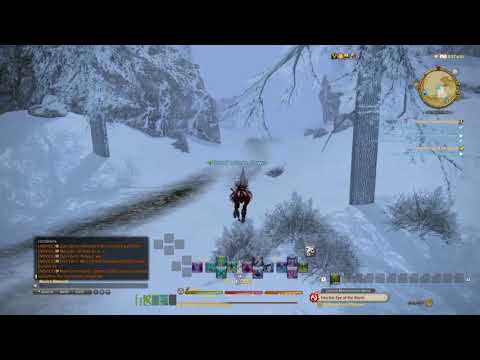 Final Fantasy XIV A Realm Reborn - Following in His Footsteps - White Mage Level 45 Quest