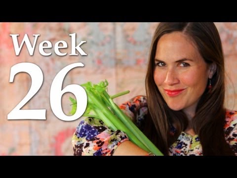 My Pregnancy @ 26 Weeks + Belly Shot