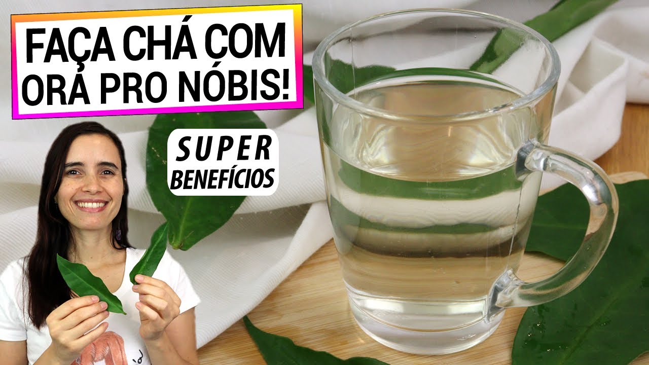 COMECE A TOMAR CHÁ DE ORA PRO NÓBIS! SUPER ALIMENTO, APRENDA A FAZER DO JEITO CERTO!