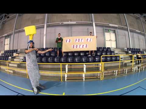 Harlem Shake CK Vallparadis