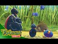 Miss Spider Taste Bugs Top O Big Tree Ep 16