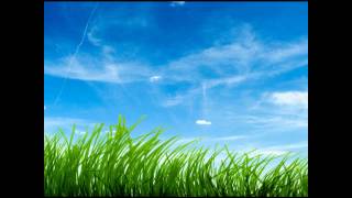 Catcher - Destiny Sunrise