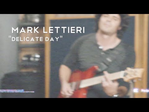 Mark Lettieri - "Delicate Day" (feat. Jason "JT" Thomas & Wes Stephenson) // Fly Through It