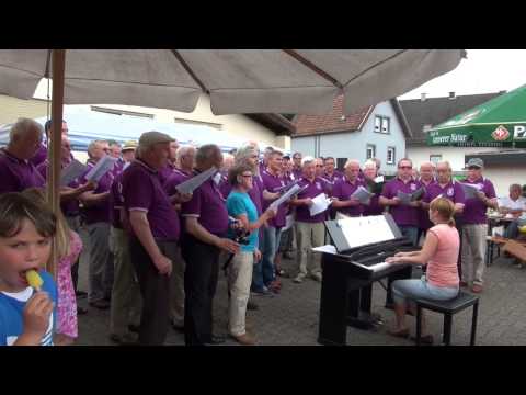 Dahner Felsenland Hoffest des MGV Waldeslust in Bruchweiler-Bärenbach 15.6.2014 T8