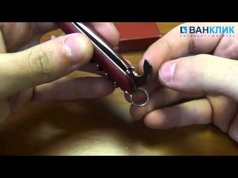 Нож Victorinox EcoLine Waiter 2.3303