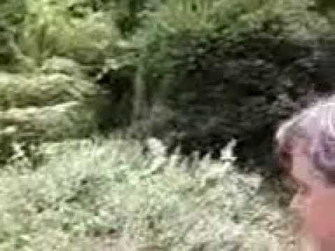 GrădinaBotanicMacea