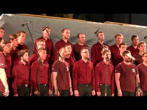 PAZ Vinko Vodopivec - Bori (A. Srebotnjak)