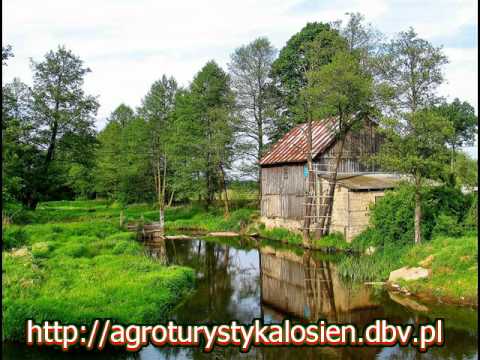 Łośna(Wierna Rzeka)