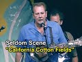 California Cotton Fields - Seldom Scene