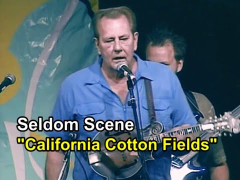 Thumbnail for California Cotton Fields - Seldom Scene by Dallas Frazier