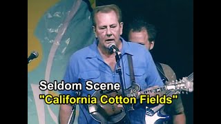 California Cotton Fields - Seldom Scene