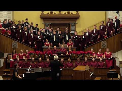 Twelve Days of Christmas Confusion (Chris R. Hansen)