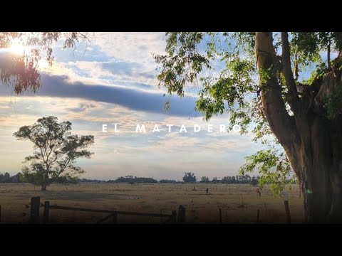 El Matadero – Esteban Echeverría | Cuento completo narrado | Literatura argentina