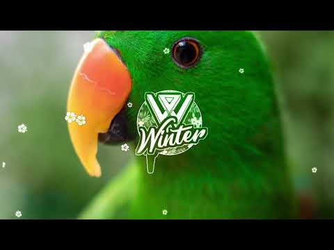 Afro VaiToma ( Dj Killa 987 ) [ 4Family Tere ]