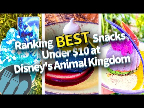 Ranking the BEST Snacks Under $10 at Disney's Animal Kingdom