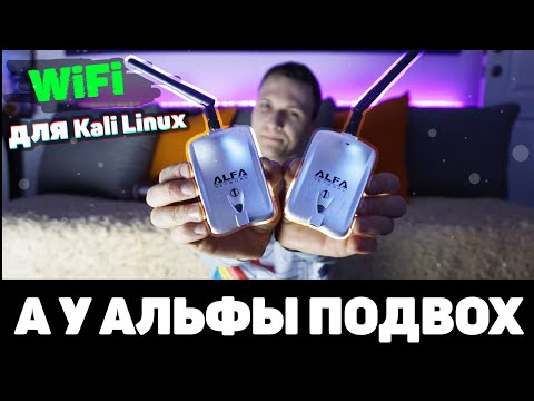 Alfa: Лучший WiFi адаптер для Вардрайвинга в Kali Linux? | UnderMind