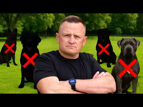 3 Dog Breeds We NEVER Recommend!