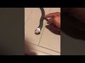 Pet Snake Rolls Over and Plays Dead || ViralHog