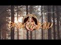 PAMBA VILAKINU AYYAPPAN WHATSAPP STATUS AYYAPPAN DEVOTIONAL SONG BAKTHI SONG VAVAIBZ CREATIONS