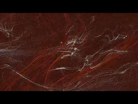 Organza Ray & Pyrolator - The Raver