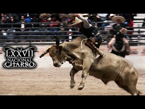 JINETEO DE TORO dia 21 Gran Final - Congreso Aguascalientes 2021