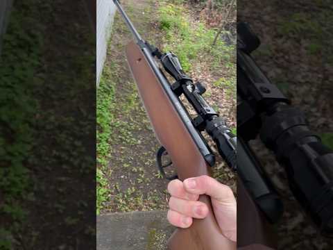 Top 3 Crosman Air Rifles To Buy in 2022 | Crosman Air Rifle