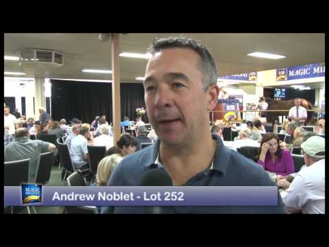 2017 Magic Millions Perth Yearling Sale Day 2 Wrap