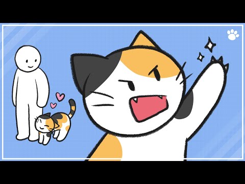 How Cats Recognize Their Owners - YouTube