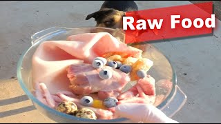 Download lagu Dog Eating Raw Turkey Neck, Chicken Feet, Pork Skin, Blueberry, Quail Egg mp3 Download lagu Dog Eating Raw Turkey Neck, Chicken Feet, Pork Skin, Blueberry, Quail Egg mp3