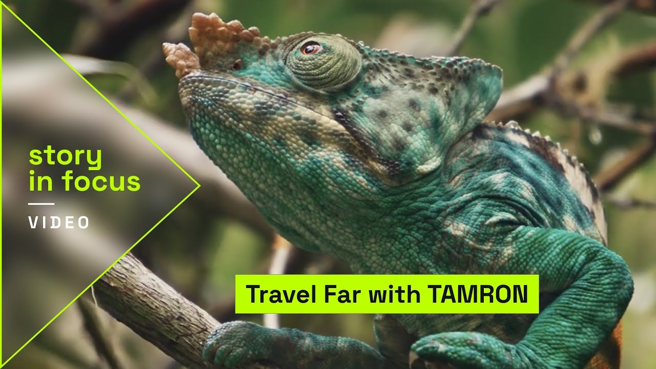 Tamron 18-300mm f/3.5-6.3 Di III-A VC VXD pre Nikon Z