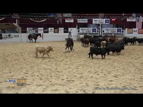 RKR SpaceCowboy ridden by Luke J. Hammerness  - 2019 Snaffle Bit Futurity (Herd - Open Prelims)